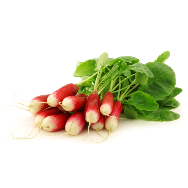 Radish Breakfast Bunch - (Individual)
