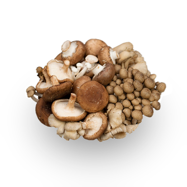 Mixed Wild Mushrooms - (500g)