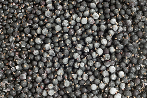 Blackcurrant Frozen - (1Kg)