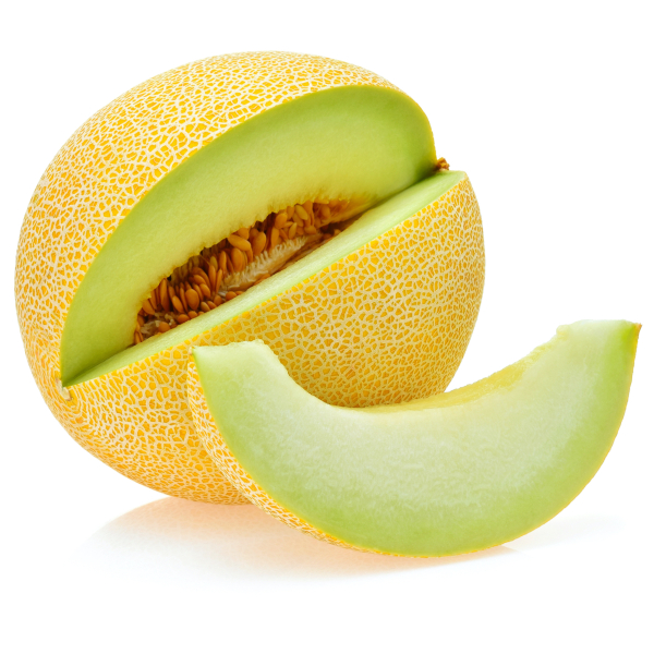 Melon Galia - (Individual)