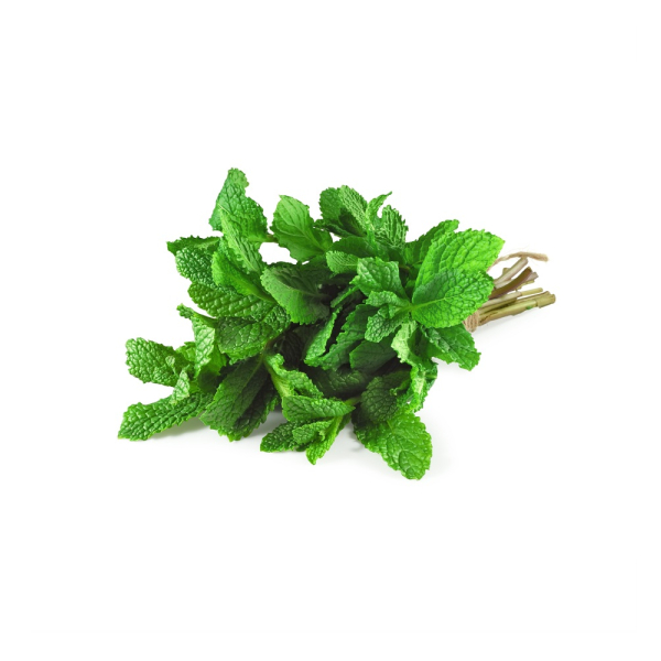 Mint (Fresh) - (100g)