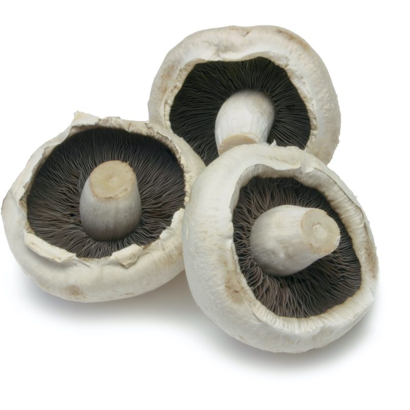 Flat Field Mushrooms UK/Norfolk - (250g)