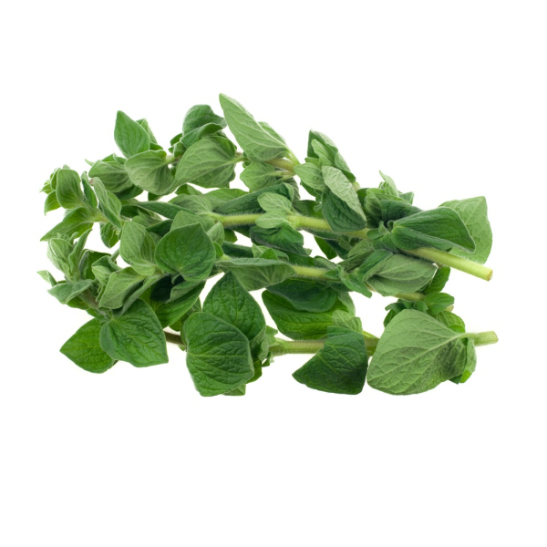 Oregano (Fresh) - (100g)