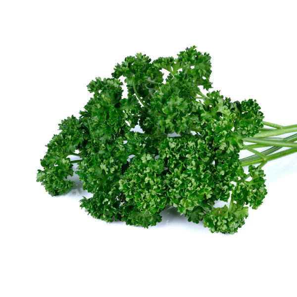 Parsley Curly (Fresh) - (100g)