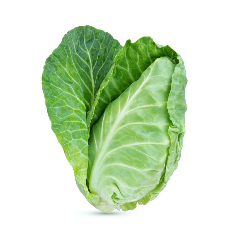 Cabbage Hispi - (Individual)