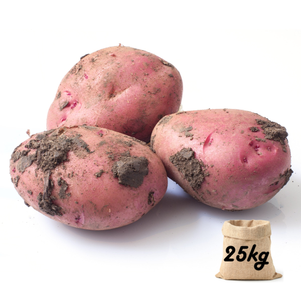 Potatoes Reds Unwashed Sack - (25Kg Sack)