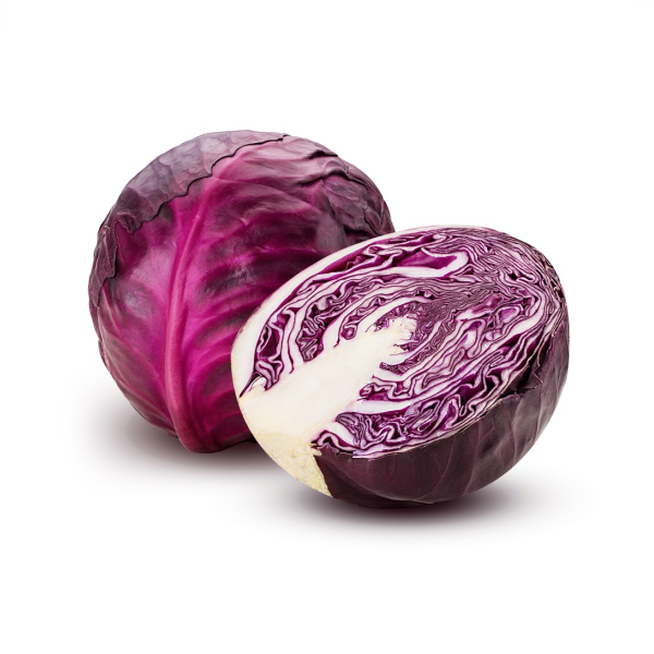 Cabbage Red - (Individual)