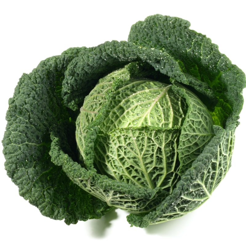 Cabbage Savoy - (Individual)