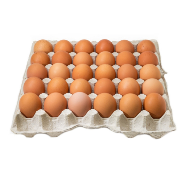 Eggs Tray (30)